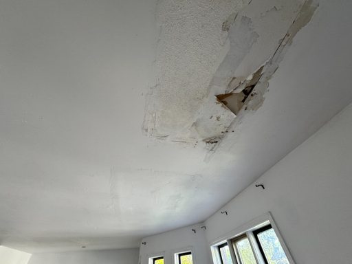 Water damage repair